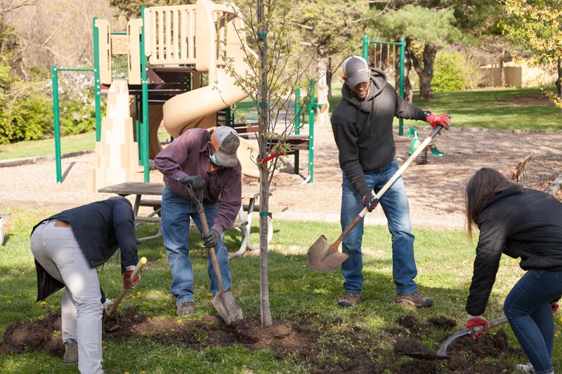 treeplanting